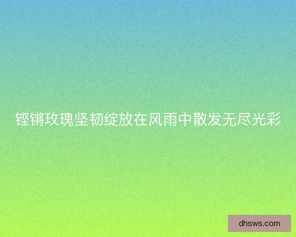 铿锵玫瑰坚韧绽放在风雨中散发无尽光彩
